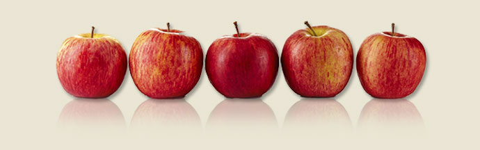 Row of five apples